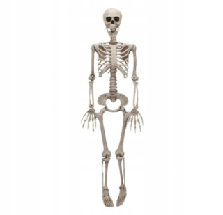 DEKORÁCIA NA SKELET SKELETON HALLOWEEN 90 CM